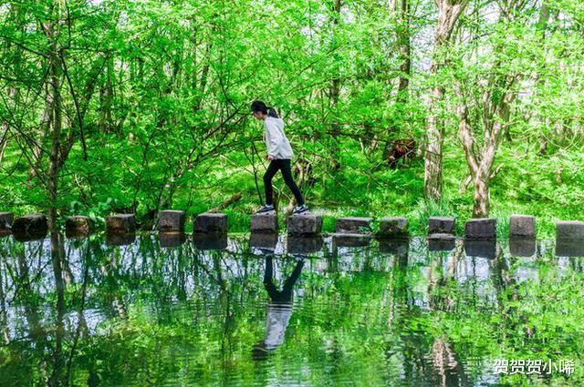 [绿野仙踪]黄山这个小众旅游景点，知道的人极少，简直是现实版的绿野仙踪！