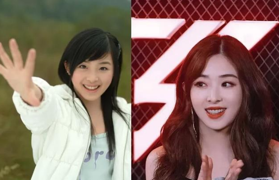 姐姐|脸上扎900多针,一瓶面霜200多万,浪姐里谁的脸最烧钱?