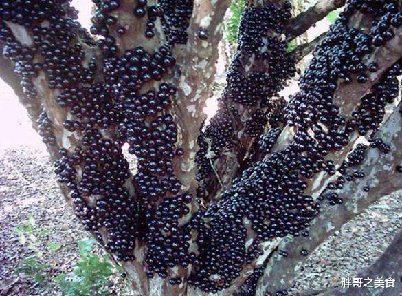 瓜子|建议大家：条件允许，少吃花生瓜子，多吃这3样，好吃又不贵