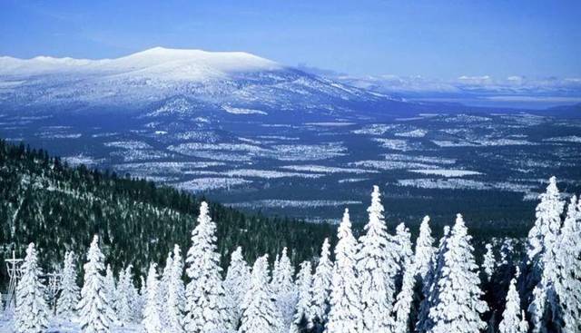 生肖@鼠年6月前,财喜两旺,心想事成,事业辉煌的五大生肖