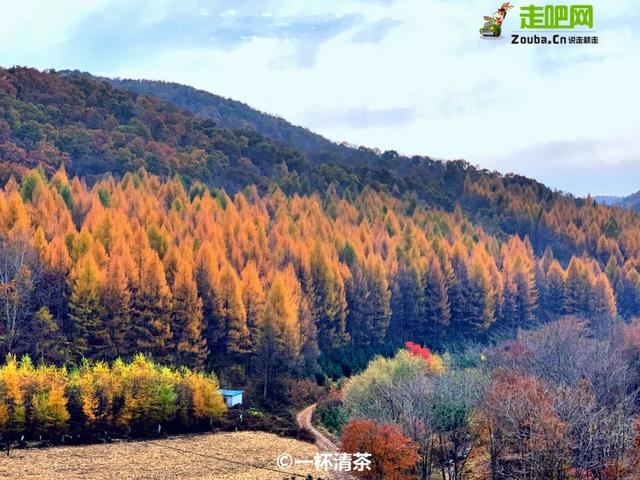 丹东|十条自驾路线“燃爆”金秋，每条都让人疯狂心动，实在是太惊艳！