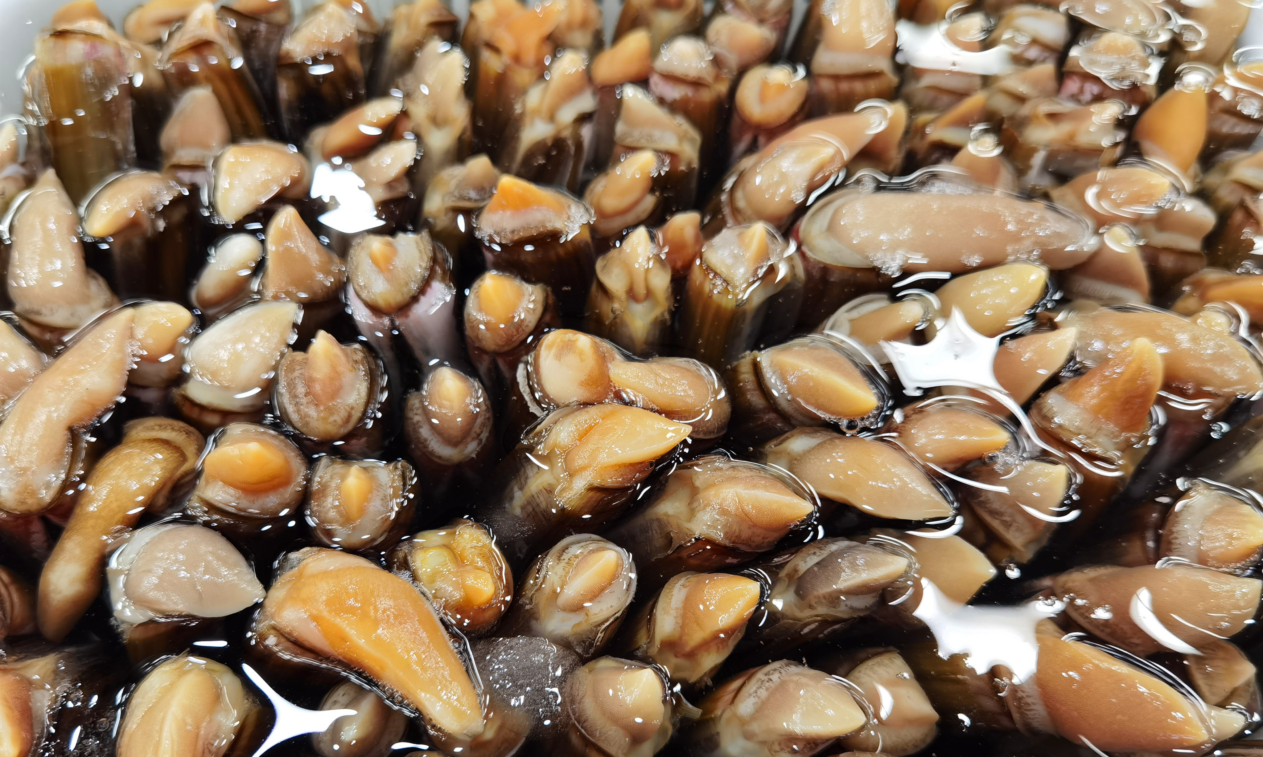 『饺子』5月遇到此肉别手软，韭菜和它是绝配，女性要多吃，包饺子吃最香