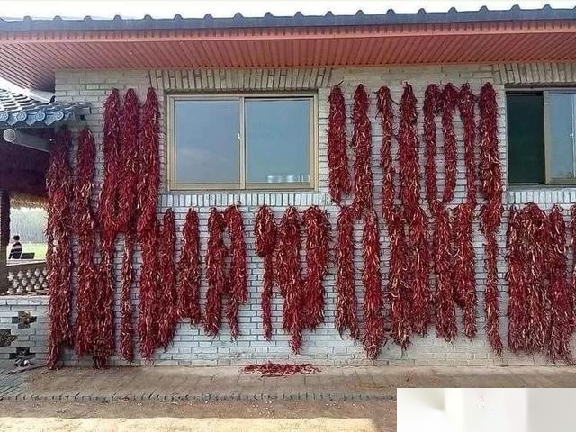 实拍：兴平渭水边，挂满红辣椒的庭院...