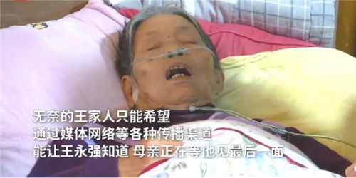 博士后|北大博士后赴美留学消失20年，拒绝回国照顾病危母亲，仅回了7字