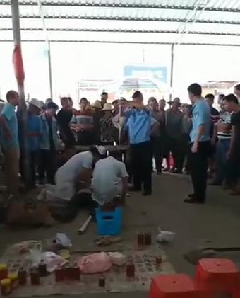 毒蛇咬伤|男子卖药酒被自带毒蛇咬伤，不幸身亡