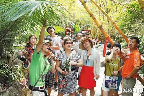 越南|该国用中文写“禁止入内”的标语,要求停飞中国航班,最终自食恶果!