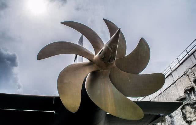 「」航母出海为何总有大批鲨鱼尾随？近100年的时间，各国仍无法解决