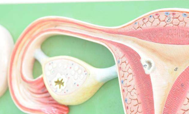 雌激素|女人“雌激素”偏低，身体可能有这5个“表现”，希望你没有