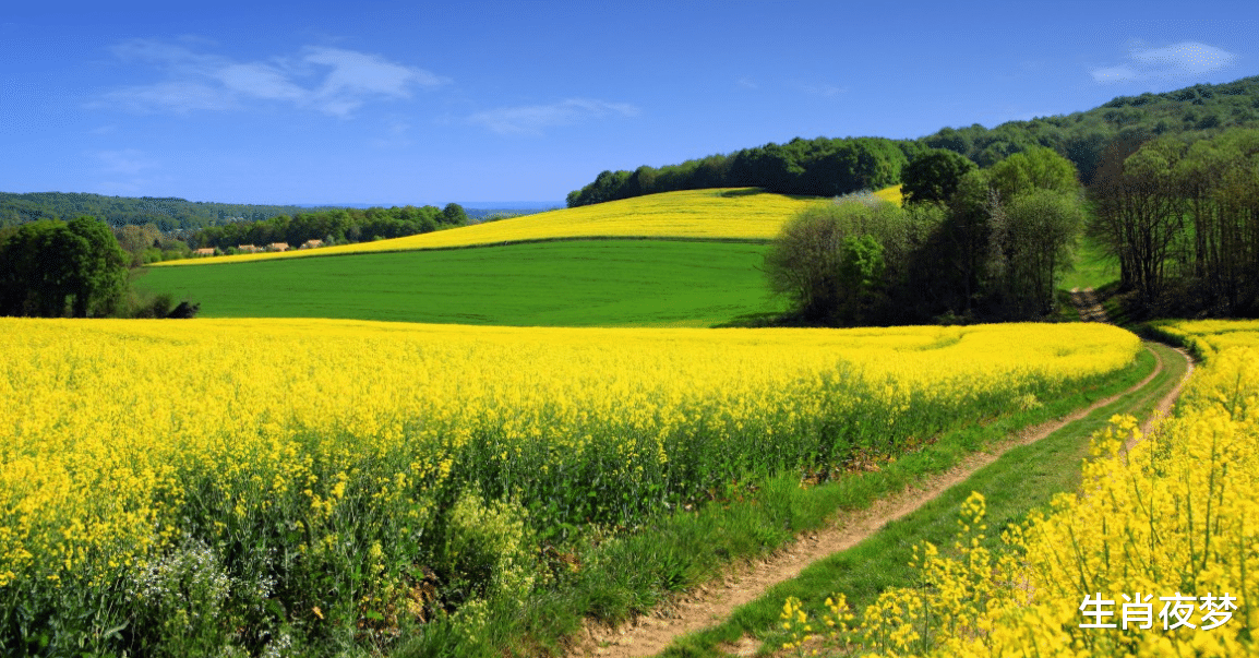 旧爱|未来7天，百里之年，望眼欲穿，执着于旧情人，3生肖此生爱无悔