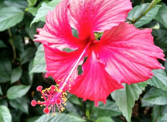 『运势』5月下旬，好运势不可挡，4属相财运赚不停，日子红红火火