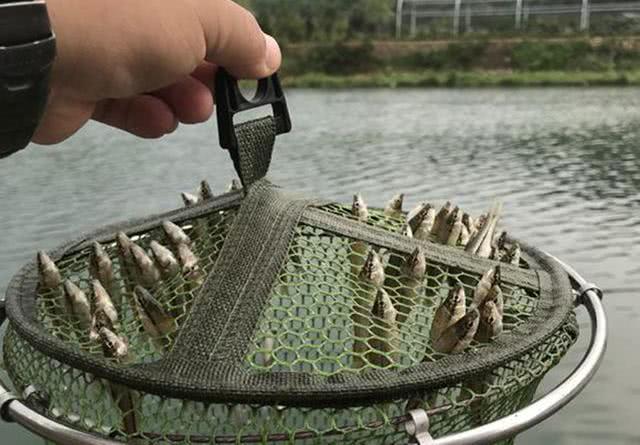 @聊一聊鱼护的演变过程，90年代买鱼护钓鱼的人，算得上是中产了