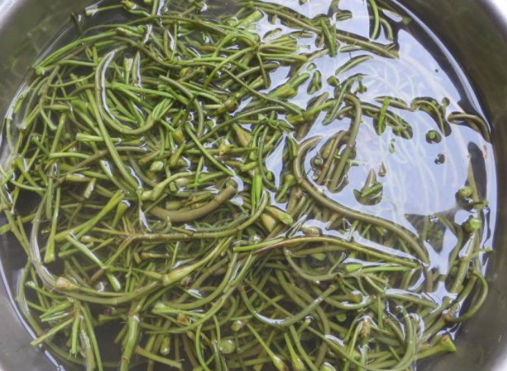 「菱角」夏天,遇见此菜多买点,每天炒一盘,清肠刮油,才6块钱一斤