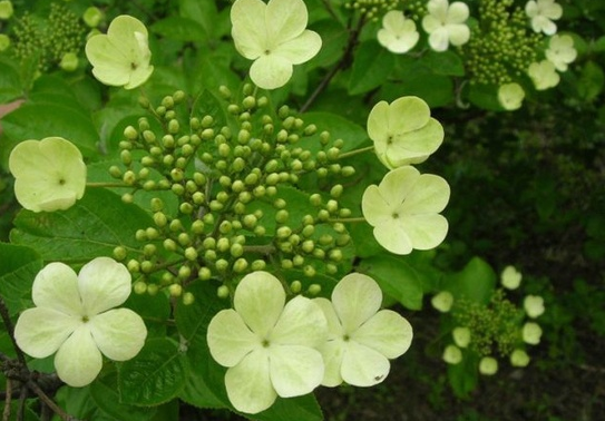 「」从6月16号开始,4属相烦恼全部远离,幸福感满满,生活顺风顺水