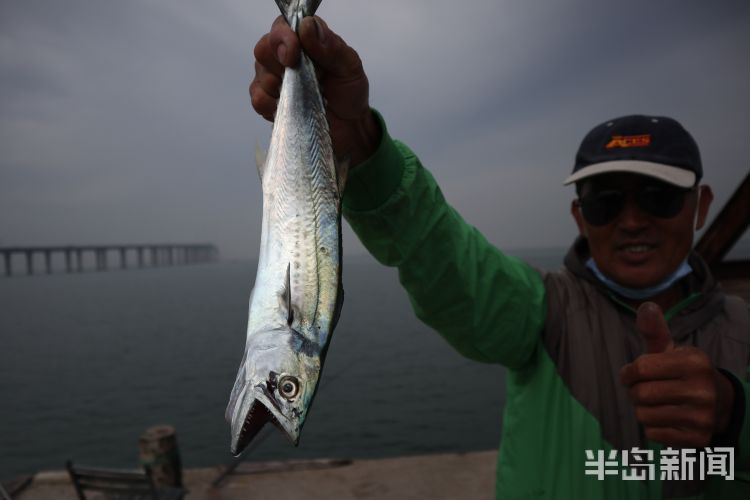 网络安全|胶州湾假日渔趣