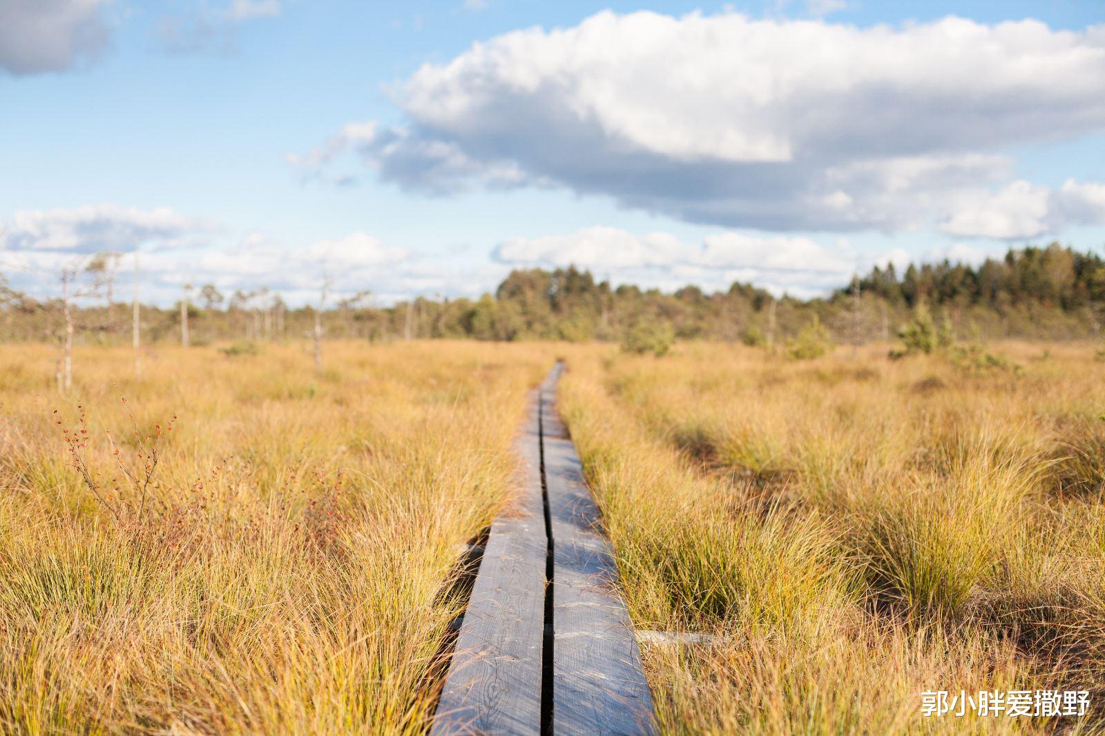 荔波 我国唯一不断扩张的岛屿，每年都在“长大”，有望成为中国第一岛