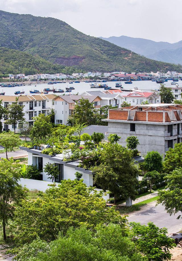 ##本想就要个花园,却在屋顶设计出梯田花园,成了大家效仿的对象