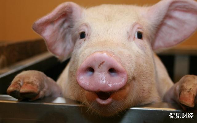 股价|股价大跌26%，遭机构狂卖15亿！\猪中茅台\价值不再了？