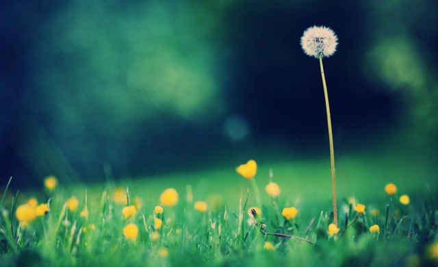 「」10天内横财必得，3大生肖运势挡不住，有贵人领路，富贵无双