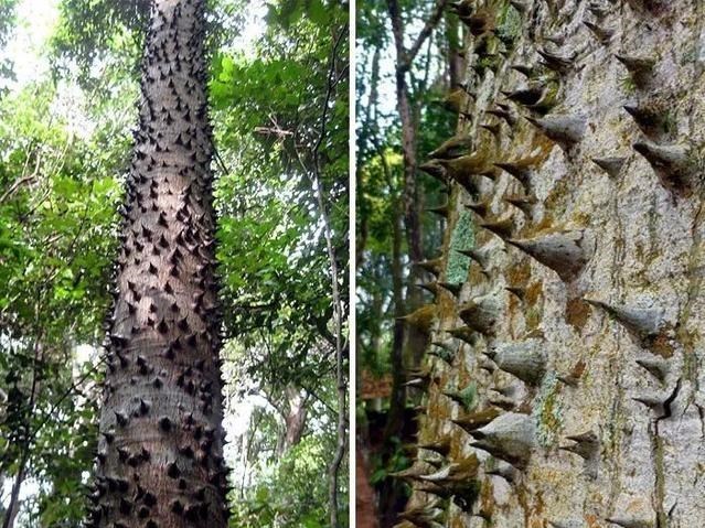 「」一组让你大开眼界的自然场景，最后那张图是不是骗到你了？