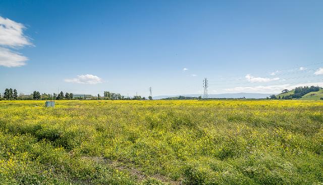 狮子座|心宽则安，心大福大的三大星座。做人胸怀宽广，心量大，高瞻远瞩