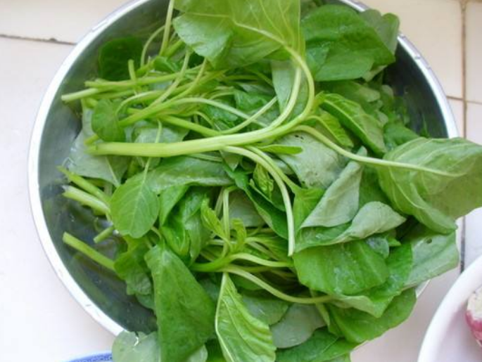 #苋菜#夏天，遇到这菜多囤些，每天炒一盘，清肠刮油，小肚子不鼓了