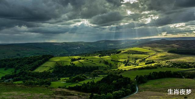 『生肖』6月,爱上心头,旧爱回头。3生肖不再畏畏缩缩,旧情复燃甜蜜相爱