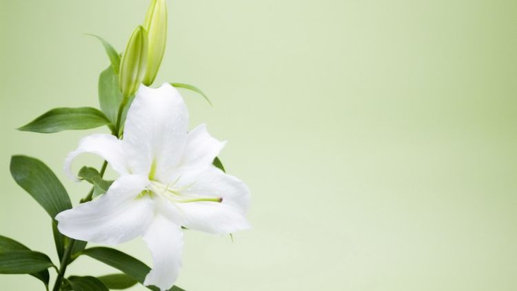 生肖|九月期间，好运不断，月月皆顺遂，只幸福不辛苦的4大生肖