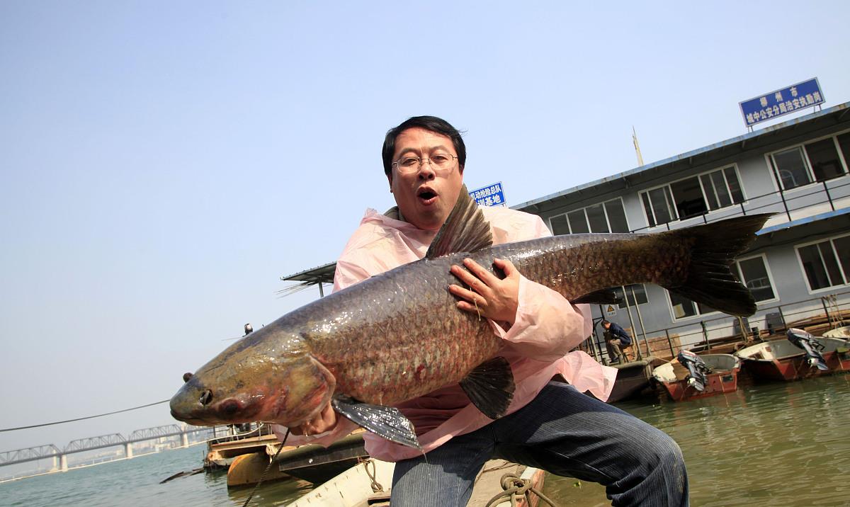 鲫鱼|打窝太多是浪费？你眼中的那些傻子，其实才是真聪明！