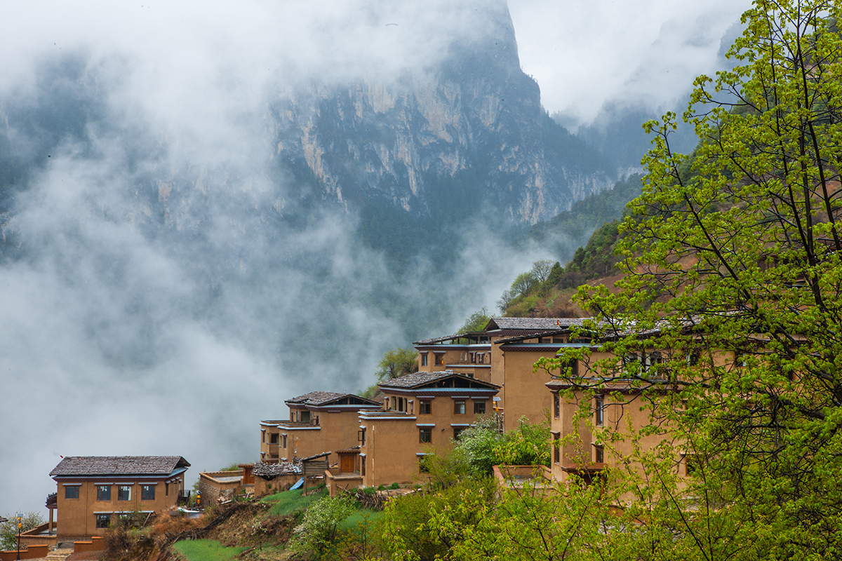 [杭州]太漂亮了！春天最令人心动的4个旅行地，不是花海也美得如临仙境