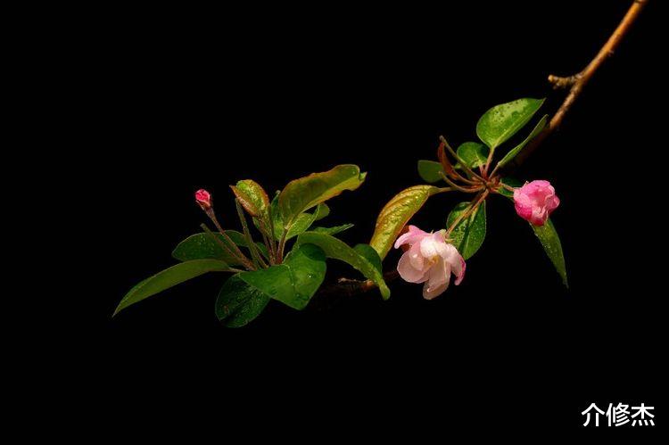 处女座|9月26号起，好运相伴，财富缠身，接连获得好运加持的四大生肖！