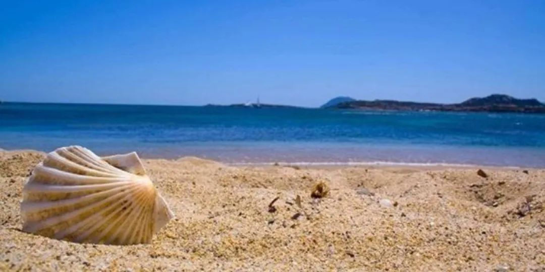 『獐子岛』獐子岛扇贝跑路连续剧终于剧终了，北斗立大功。