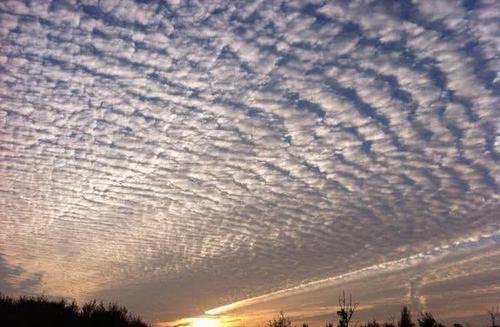 汶川地震|至今未解谜团！汶川地震前，出现的几大怪异现象，科学家解释不清