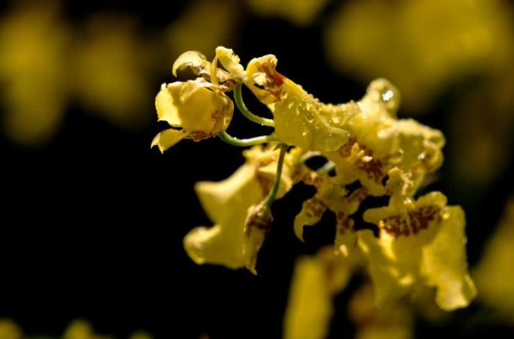 运势|8月中旬开始事业腾达，运势提前回升，翻身赚大钱的四大生肖