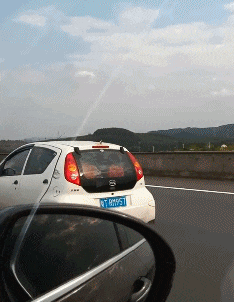  “这是青蛙劈了腿，还是小蛇出了轨？”哈哈哈，该叫它什么物种呢？