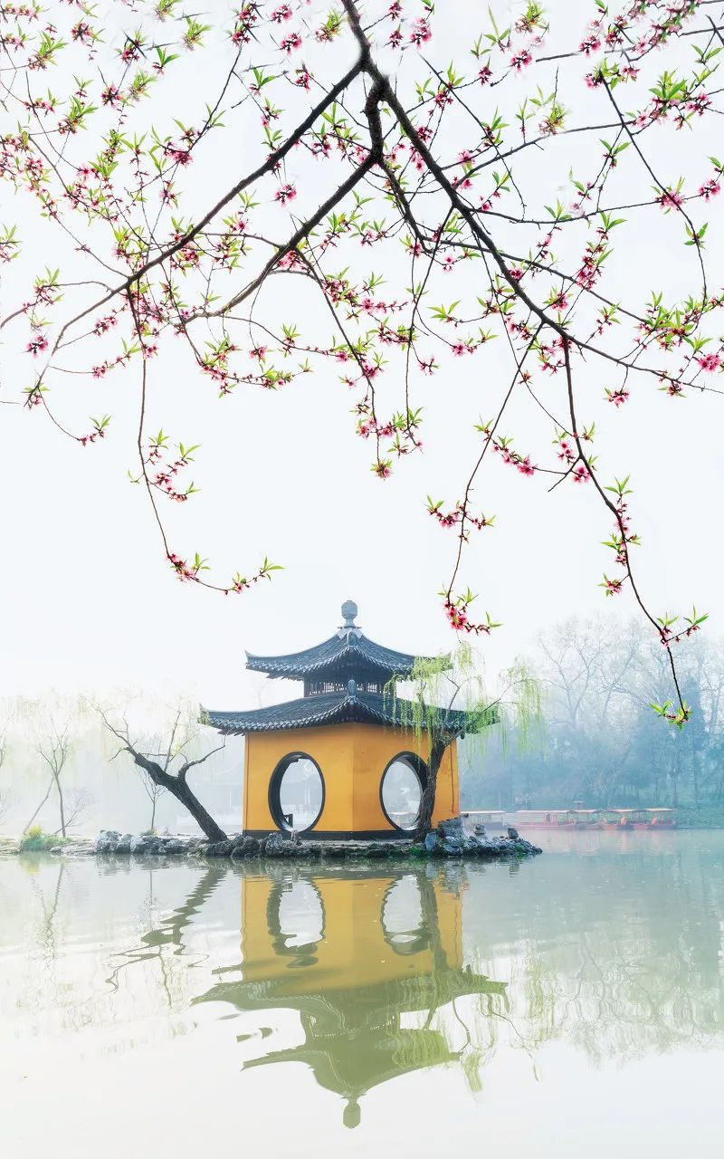 无法抗拒|比苏州秀美！原来它才是江南秋景第一，正适合去过几日慢生活！