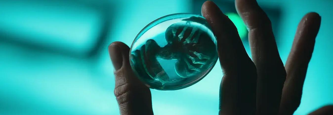 『湖南』异形中的未解之谜，原来《普罗米修斯》的大卫才是终极Boss！