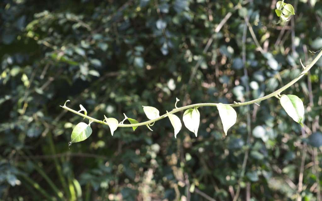 十二星座|分手后，十二星座男各会把前任当成什么人？金牛很深情