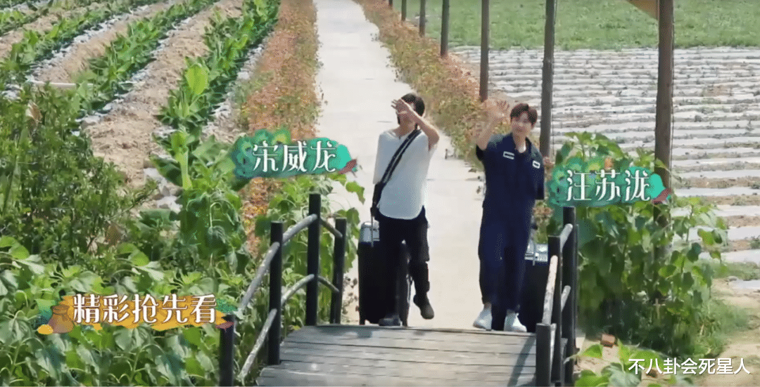 【周迅】《向往》嘉宾陆续曝光，周迅脸肿难掩疲态，黄磊又刻意套近乎？