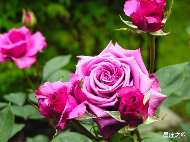 『金牛座』从6月份开始,触底反弹,直上云霄,乘风破浪的三大星座