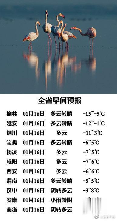 陕视新闻 陕西：气温降了，都感受到了吗？