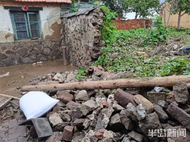 半岛都市报|小麦被泡、平房被冲垮、柏油路面被掀起，半岛记者直击暴雨后的即墨村庄