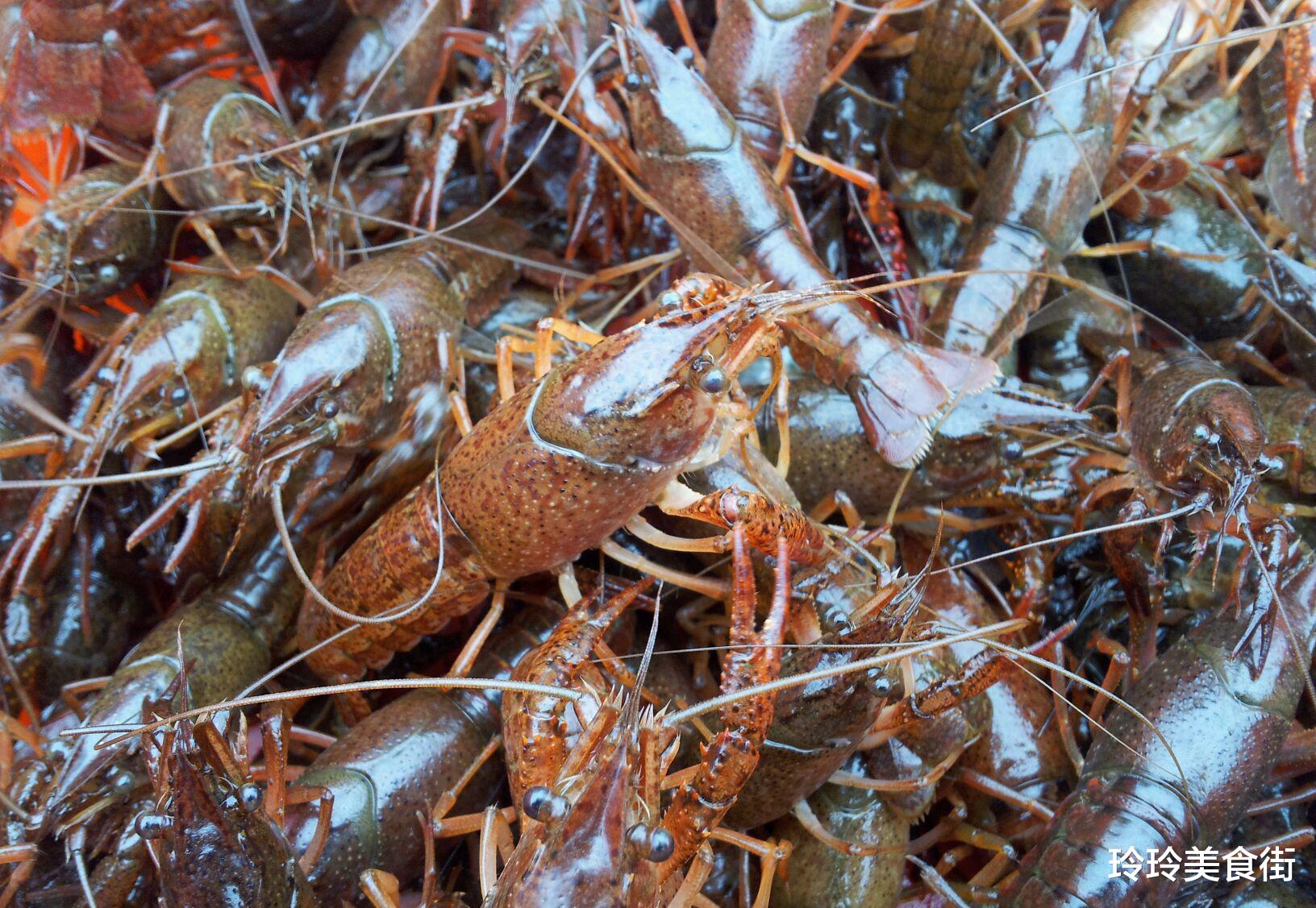 [虾尾]为何虾尾比小龙虾还便宜？其中大有门道，内行人从不买虾尾