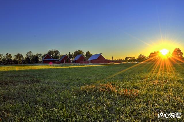 狮子座|15天后，曲终人散，梦醒阑珊，3星座心灰意冷，余生两不相欠