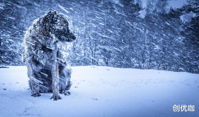 旧爱|2020年底，思念未减，爱意犹存，将挽回旧爱，不再分手的3个星座