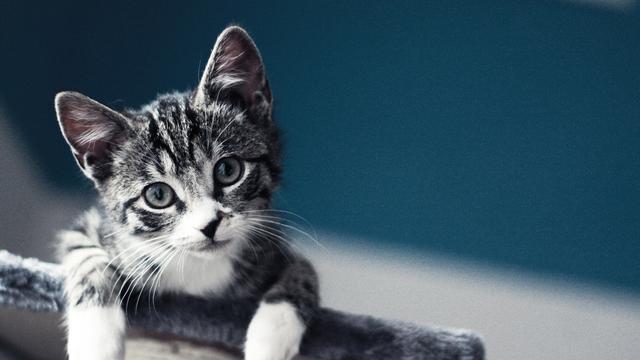 天蝎座|10月中旬，累了，就躲远一点，3星座取悦别人，远不如快乐自己