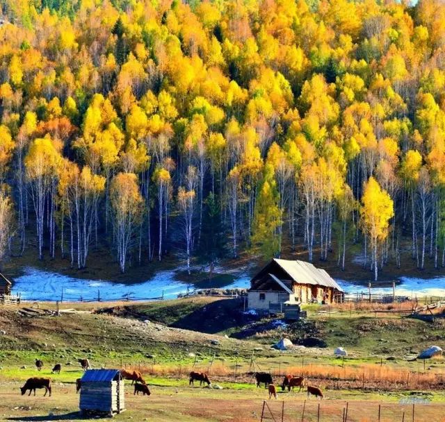 旅行|金秋若有十分美，九分在这里！再过10天，这里将成为中国最梦幻的地方。