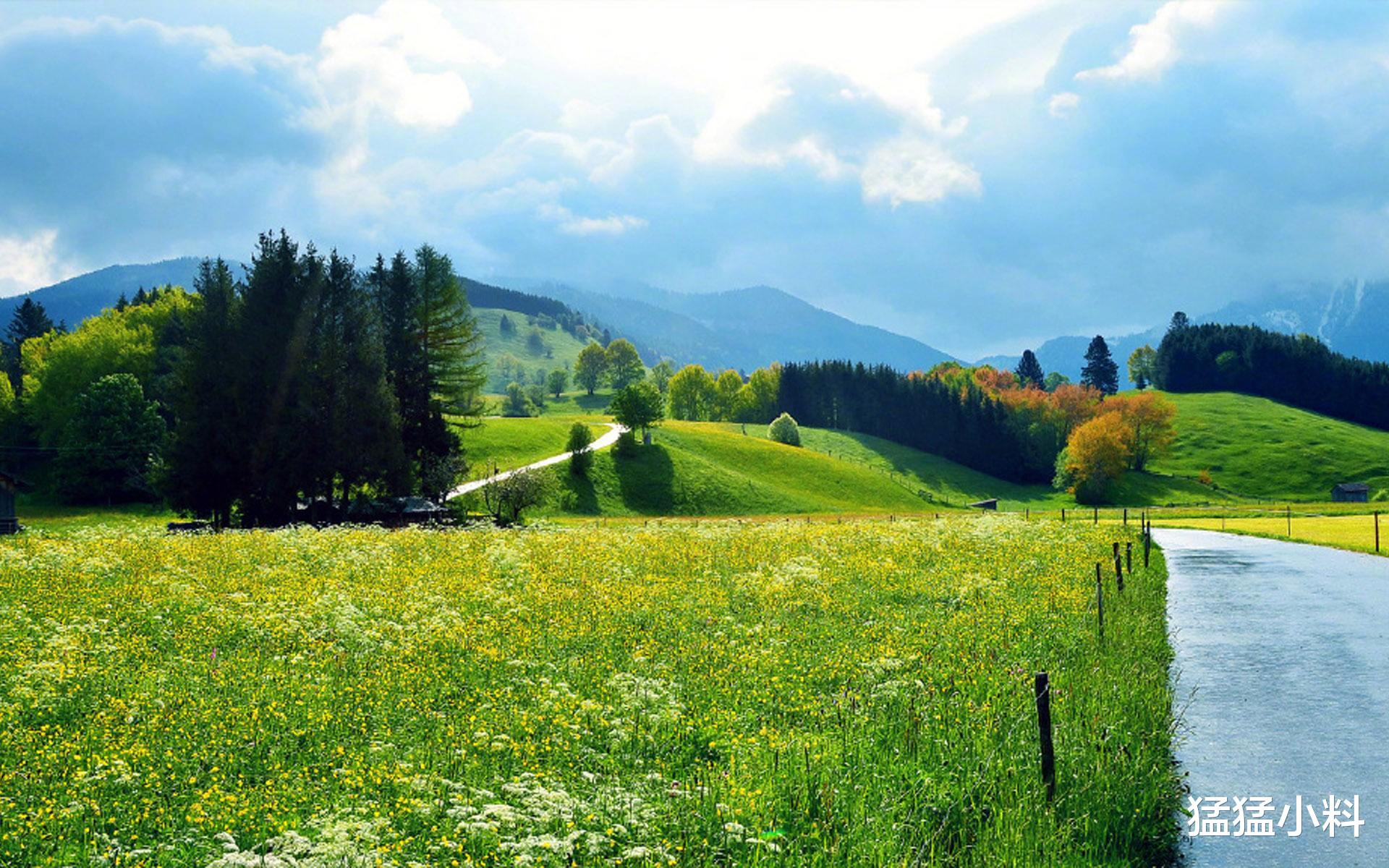 白羊座|在鼠年中，这些星座会在职场中能力很强，让自己成功。