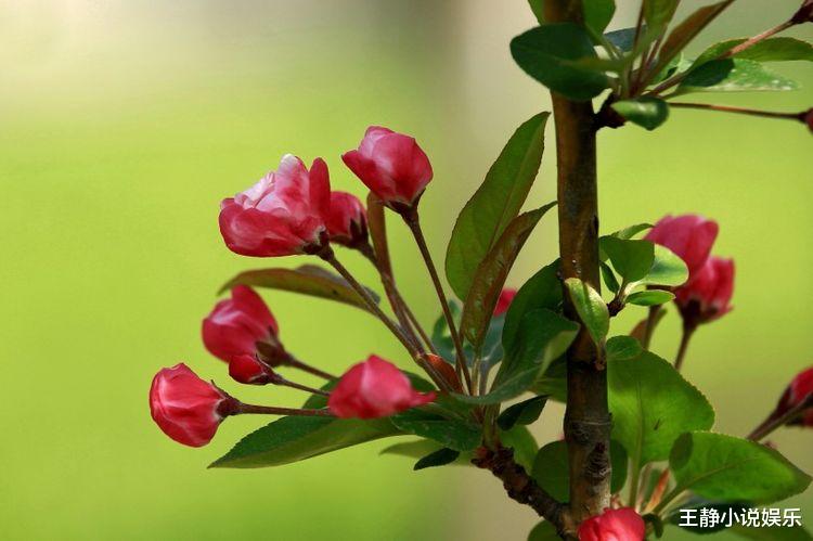 「运势」下周起运势大开，吉星傍身，横财大发，四属相家业昌盛，钱财无忧