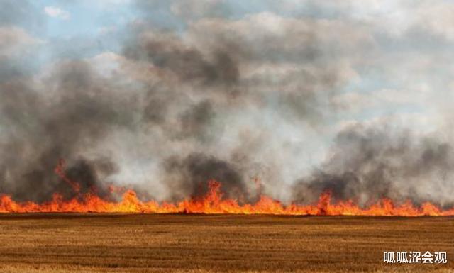 美国▲美国烧了叙利亚两万公顷的小麦，国际上有什么反应吗？
