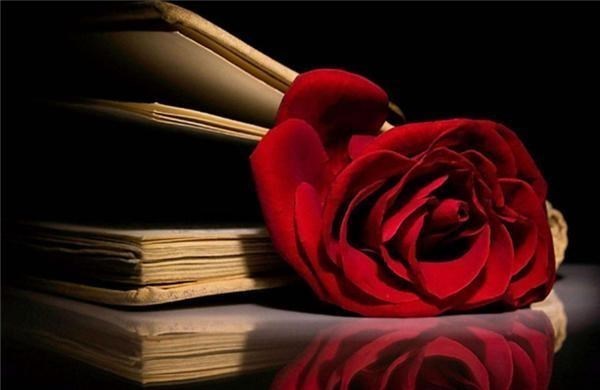 摩羯座▲三月底真爱来临,3星座不再退缩,抓住机会幸福一生